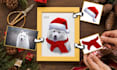 draw your pets using professional christmas costumes