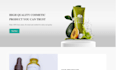 setup and design a norwegian website with shopify
