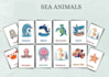 design printable creative and attractive flashcards