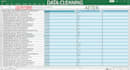 do excel data cleaning, formatting, clean up, organizing to your needs