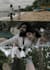 do  color grading and color correction