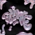 make you a chrome effect on text and font