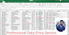 do data entry and copy paste job
