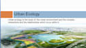 design a professional presentation canva and powerpoint presentation