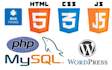 fix your wordpress website
