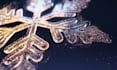make beautiful snowflakes christmas greeting video