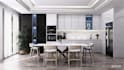 do architectural render, animation using enscape
