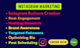 be your professional instagram marketing manager