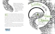 professionally format children book ebook
