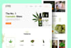 user interface design and UX research, wireframe and ui ux