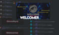 make professional discord server for you