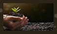 write on environment, sustainability, climate change content, blogs, articles