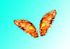 design awesome wings mascot logo within 1 day