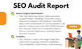 provide detailed website SEO audit report