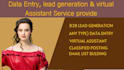 provide data entry, b2b, and b2c, linkedin lead generation