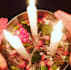 cast clear bad karma gypsy spell