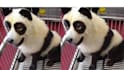 enhance, restore, upscale low res photo to a high resolution