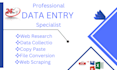 do perfect data entry , web research, excel data entry and virtual assistance