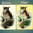 do remove background and photos editing and color change any