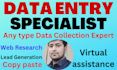 accurate fastest web research,data entry, virtual assistance
