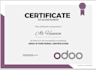 be your odoo functional consultant and help in odoo certification