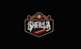 design a unique steampunk logo