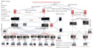 do your ccna ccnp cisco packet tracer and other projects