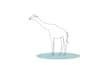 draw  animal line art