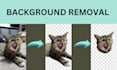 remove the background of your photo
