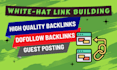 offer complete monthly SEO service with powerful backlinks