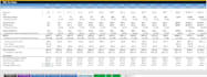 do custom financial models, detailed valuations, dcf, irr and accurate forecasts