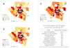 do gis mapping, spatial analysis with arcgis