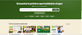 crearé tu página web profesional en wordpress