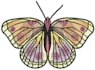 do embroidery digitizing dst