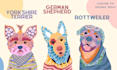 make colorfull design of your pet