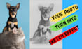 turn your image into a sketch effect digitally
