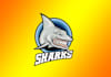design outstanding  blue shark logo with express delivery