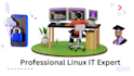 fix linux, plesk, vesta, cpanel, whm, smtp, cwp, dns, mysql, nginx, php, issues