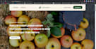 be your frontend web developer, HTML, CSS javascript