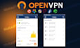 install openvpn private VPN on your server
