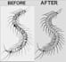 do embroidery digitize upto client satisfaction in an hour