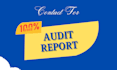 do website technical SEO audit and fix ahrefs or semrush errors