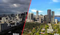 do sky replacement and grass in real estate photos quickly