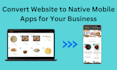convert website to android apps