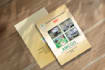 design a professional advertising both or singale side stylish flyer