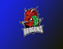 design outstanding dragon mascot  logo with express delivery