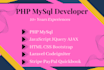 fix bugs and develop website using PHP, mysql professionally