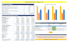 build investor ready financial model, projections and feasibility study