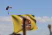 skydive with your flag