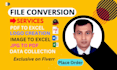 pdf conversion in 12 hours